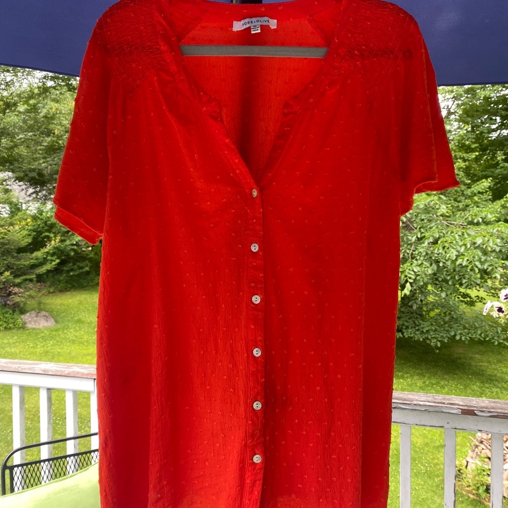 Rose and Olive Plus Size Top